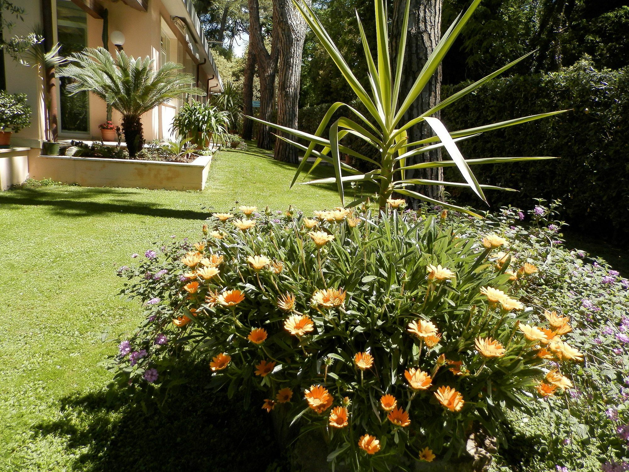 Hotel Mediterraneo Marina di Pietrasanta Exteriör bild